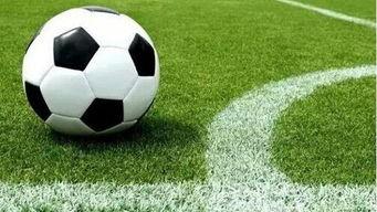 皮皮虾足球爆料视频大全,揭秘精彩瞬间与幕后故事 第3张 皮皮虾足球爆料视频大全,揭秘精彩瞬间与幕后故事 第3张