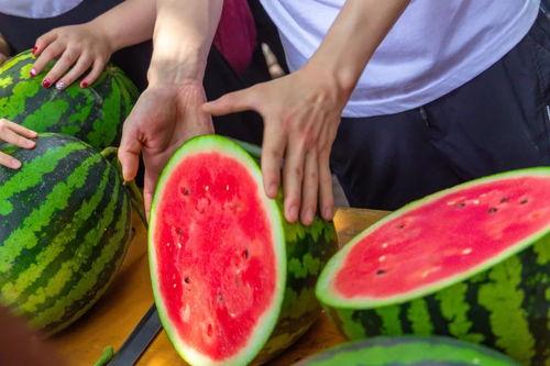 吃瓜最新免费,最新免费生成攻略大公开